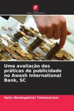 Uma avaliaç?o das práticas de publicidade no Awash International Bank, SC
