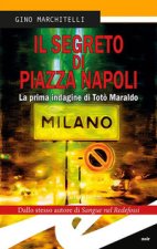 segreto di Piazza Napoli. La prima indagine di Totò Maraldo