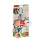 Fisher-Price Flotte Schildkröte