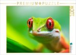 CALVENDO Puzzle Gecko Portrait | 1000 Teile Lege-Größe 64x48cm Foto-Puzzle für glückliche Stunden