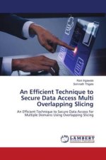 An Efficient Technique to Secure Data Access Multi Overlapping Slicing