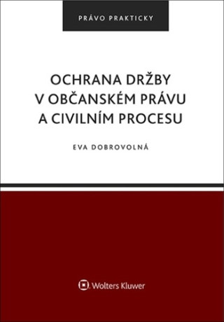Ochrana drďż˝by v obďż˝anskďż˝m prďż˝vu a civilnďż˝m procesu