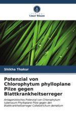Potenzial von Chlorophytum phylloplane Pilze gegen Blattkrankheitserreger