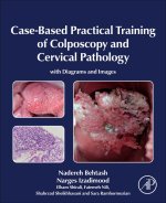 Case-Based Practical Training of Colposcopy and Cervical Pathology