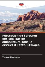 Perception de l'érosion des sols par les agriculteurs dans le district d'Elfeta, Éthiopie