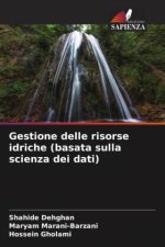 Gestione delle risorse idriche (basata sulla scienza dei dati)
