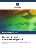 Lernen in der Innovationspolitik