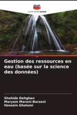 Gestion des ressources en eau (basée sur la science des données)