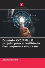 Domínio KYC/AML: O projeto para a resiliência das pequenas empresas
