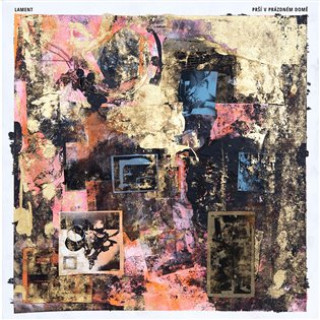 Prďż˝ďż˝ v prďż˝zdnďż˝m domďż˝