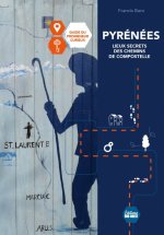 Pyrénées Lieux secrets des chemins de Compostelle . Guide du promeneur curieux
