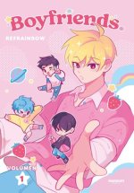 BOYFRIENDS SPANISH EDITION