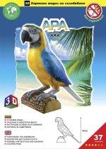 Ara Araucana – Papírový 3D model/37 dílků