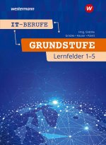 IT-Berufe. Schülerband. Grundstufe 1. Jahr.  Lernfelder 1-5