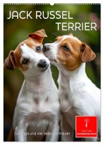Jack Russel Terrier - furchtlos und viel Selbstvertrauen (Wandkalender 2025 DIN A2 hoch), CALVENDO Monatskalender