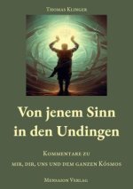 Von jenem Sinn in den Undingen