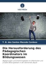 Die Herausforderung des Pädagogischen Koordinators im Bildungswesen