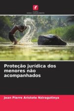 Proteç?o jurídica dos menores n?o acompanhados
