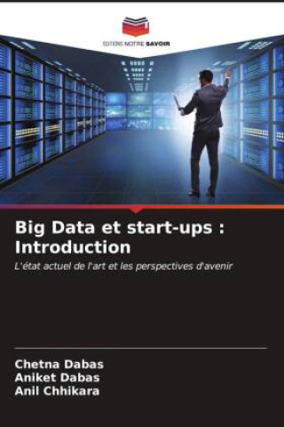 Big Data et start-ups : Introduction