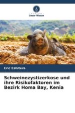 Schweinezystizerkose und ihre Risikofaktoren im Bezirk Homa Bay, Kenia