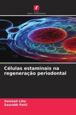 Células estaminais na regeneraç?o periodontal