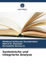 Systemische und integrierte Analyse