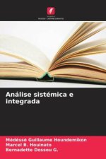 Análise sistémica e integrada