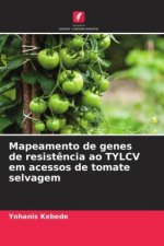 Mapeamento de genes de resist?ncia ao TYLCV em acessos de tomate selvagem