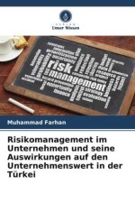 Risikomanagement im Unternehmen und seine Auswirkungen auf den Unternehmenswert in der Türkei