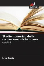 Studio numerico della convezione mista in una cavit?