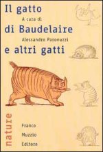 gatto di Baudelaire e altri gatti
