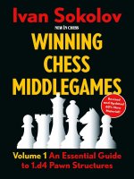 Winning Chess Middlegames Volume 2
