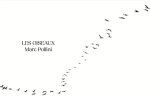 Les Oiseaux