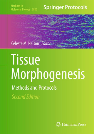 Tissue Morphogenesis