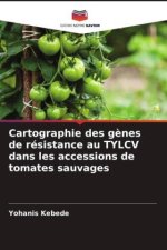 Cartographie des gènes de résistance au TYLCV dans les accessions de tomates sauvages