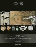 Sarazm: A Site along the Proto-Silk Road at the Intersection of the Steppe and Oasis Cultures: Results from Excavation VII