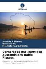 Vorhersage des künftigen Zustands des Halda-Flusses