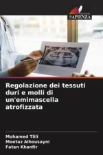 Regolazione dei tessuti duri e molli di un'emimascella atrofizzata