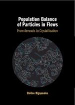Population Balance of Particles in Flows