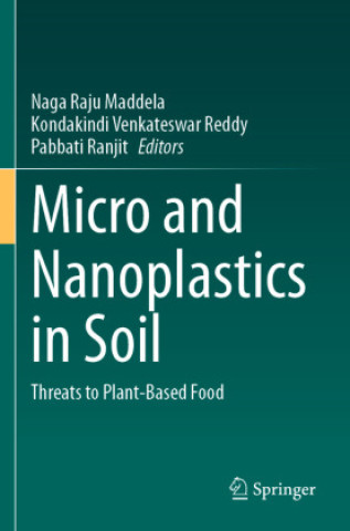 Micro and Nanoplastics in Soil