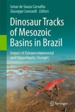 Dinosaur Tracks of Mesozoic Basins in Brazil