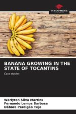 BANANA GROWING IN THE STATE OF TOCANTINS