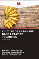 CULTURE DE LA BANANE DANS L'ÉTAT DE TOCANTINS