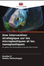 Une intervention stratégique sur les microplastiques et les nanoplastiques