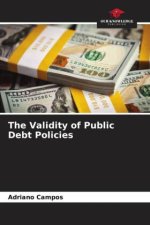 The Validity of Public Debt Policies