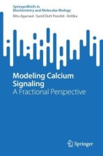 Modeling Calcium Signaling
