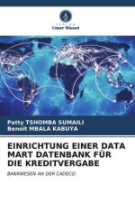 EINRICHTUNG EINER DATA MART DATENBANK FÜR DIE KREDITVERGABE