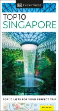 DK Eyewitness Top 10 Singapore