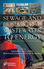 Sewage and Biomass from Wastewater to Energy