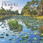 Florida Wild & Scenic 2025 12 X 24 Inch Monthly Square Wall Calendar Plastic-Free